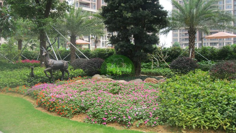 办公室绿植租赁，成本与效益的平衡之道**