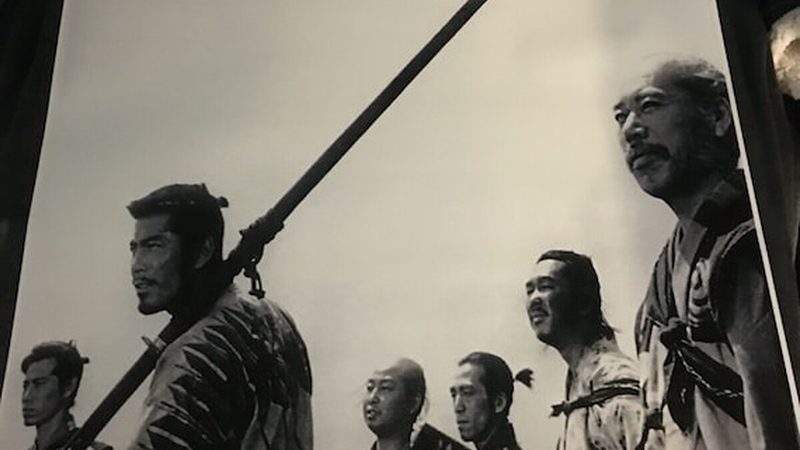 室内垂直绿化植物，如何挑选十大品牌？**