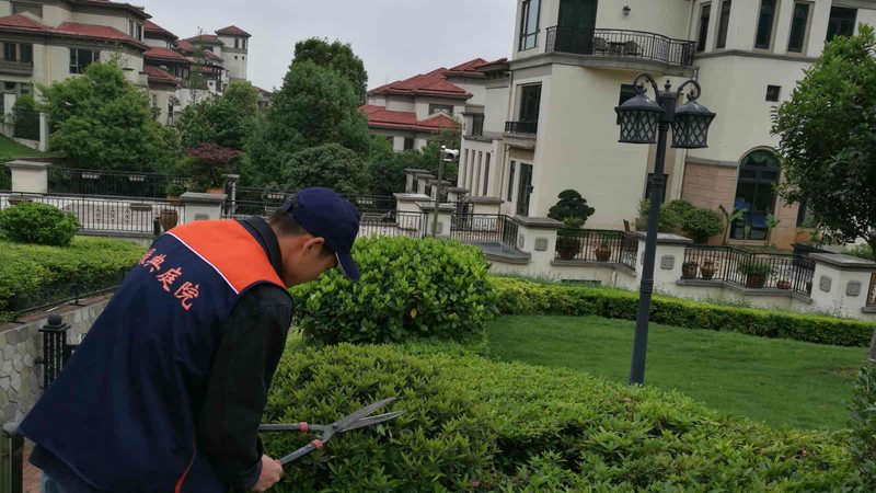 市政绿化工程预算清单模板：编制要点与解析