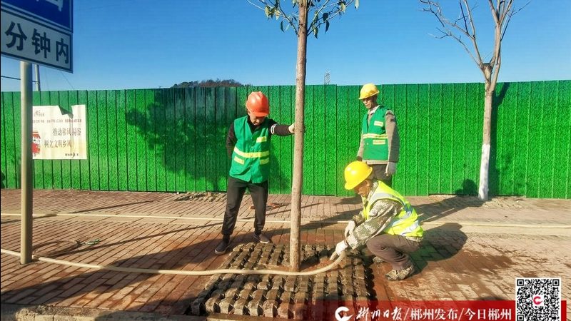 草坪铺设设备：如何选择与优缺点分析