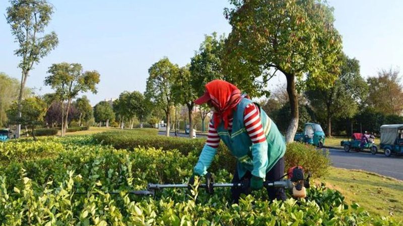 护坡喷播植草，报价如何精准估算？**
