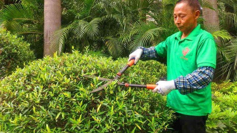 园林资质办理：经营范围要求解析**