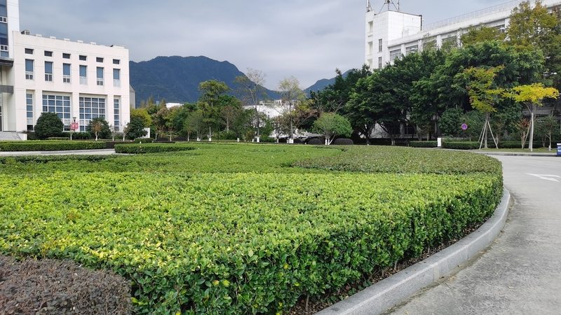 别墅花园设计施工验收标准全解析**