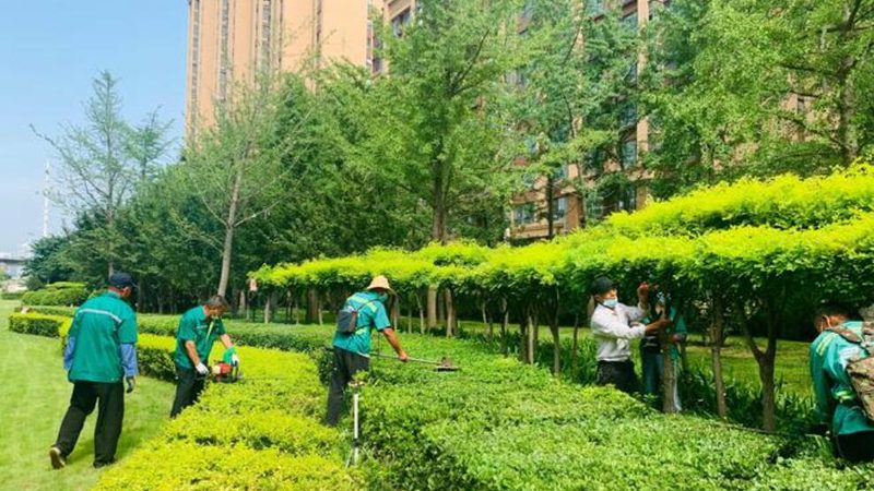 花园假山喷泉鱼池，如何挑选品质之选？**